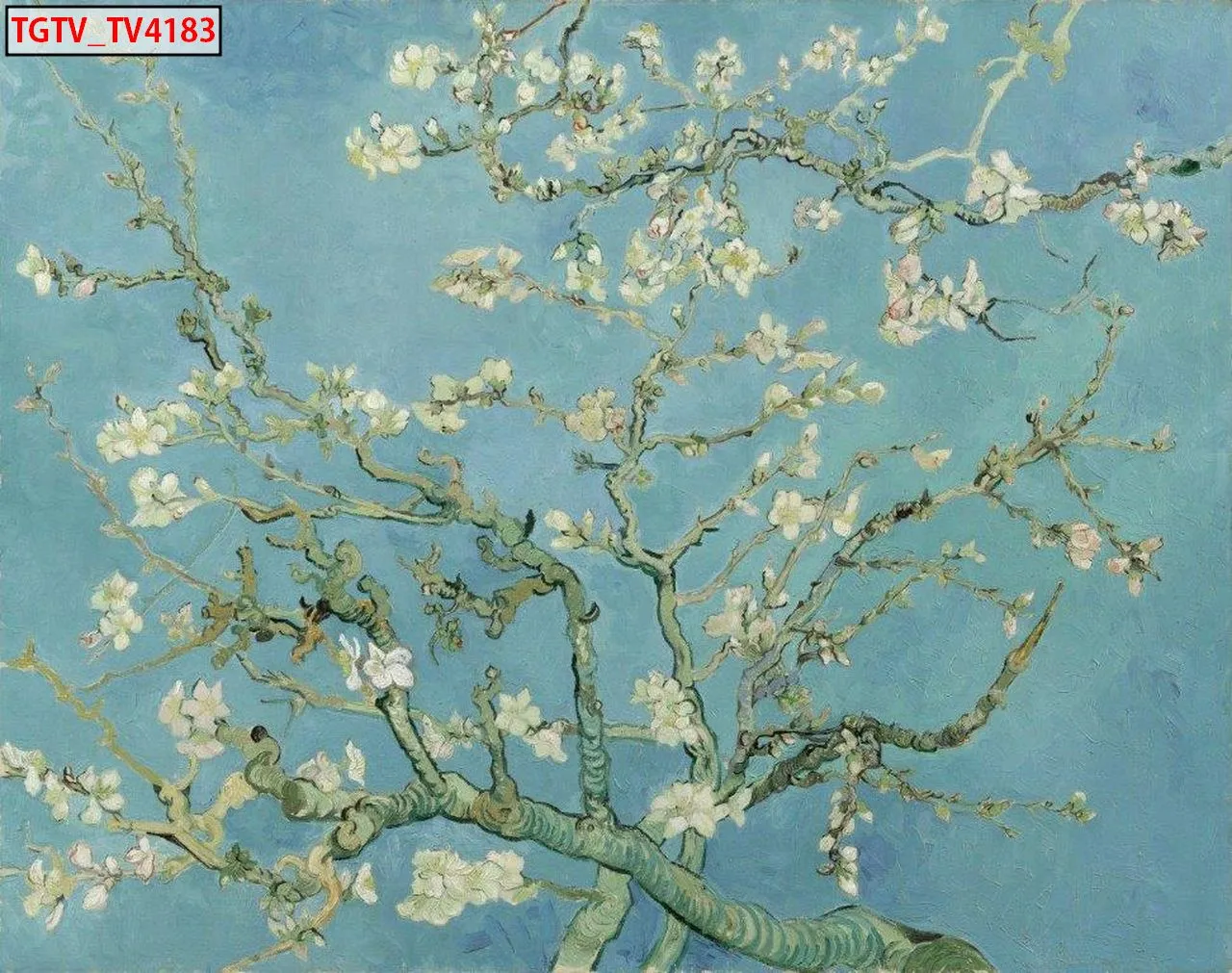 Lưu nháp tự động