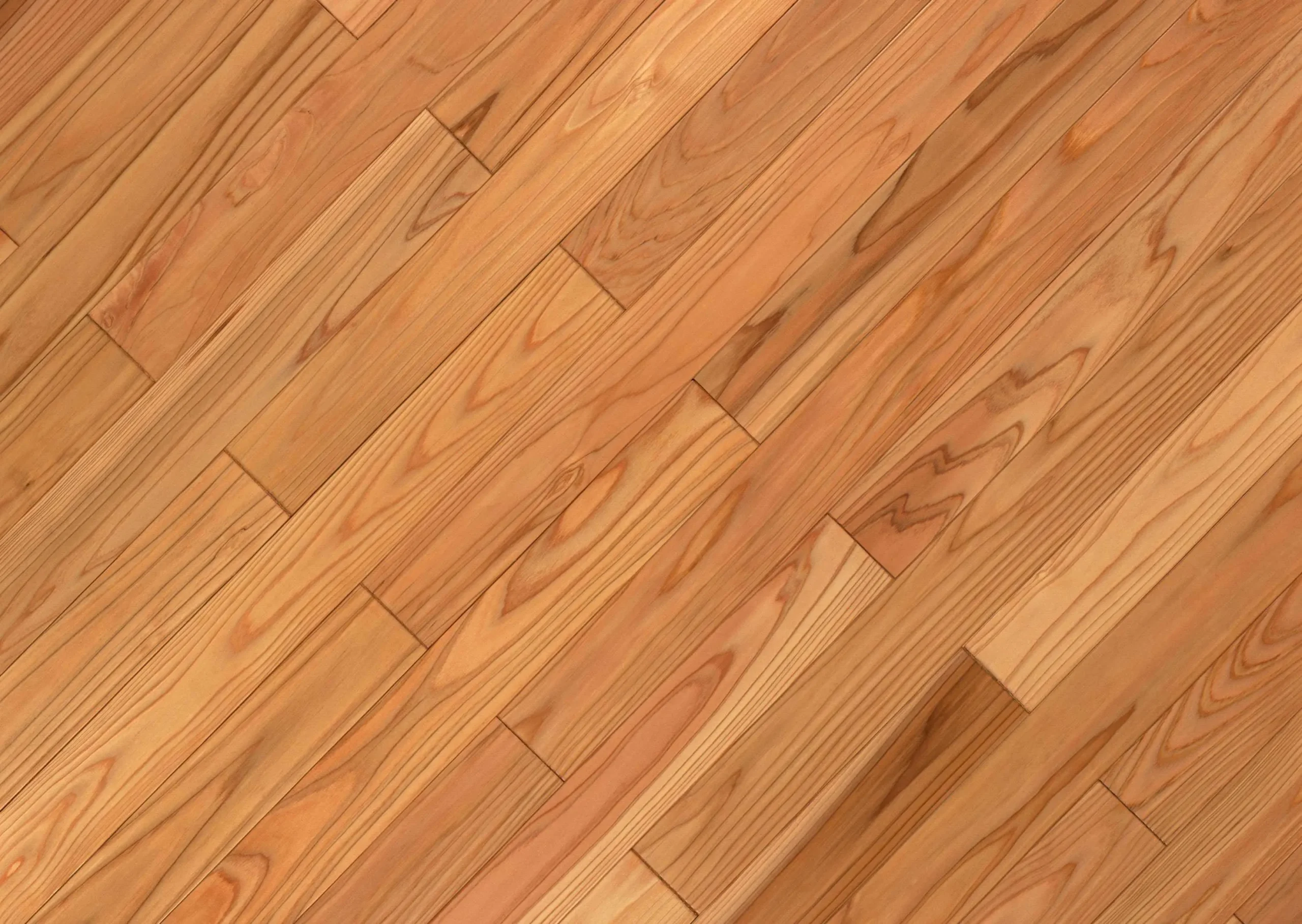 Lưu nháp tự động