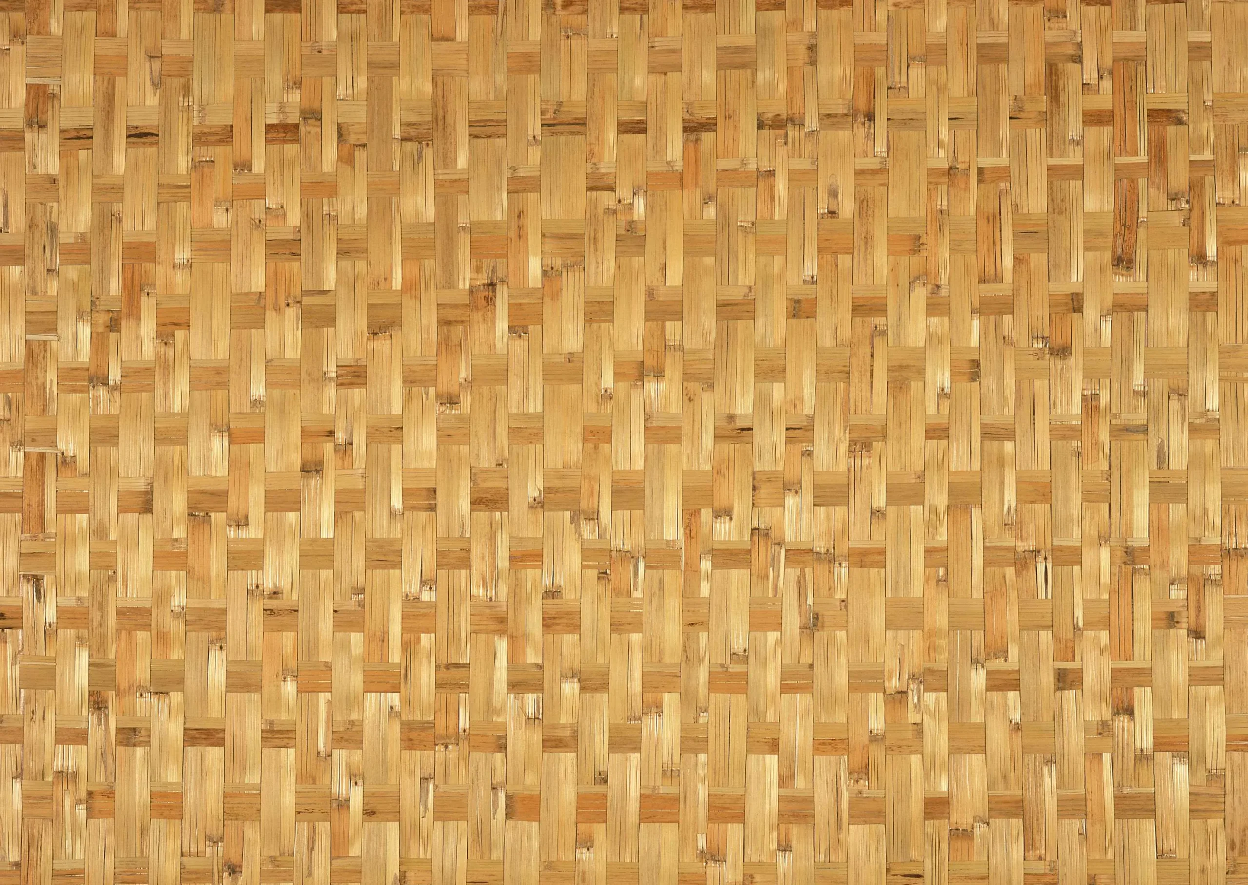 Lưu nháp tự động