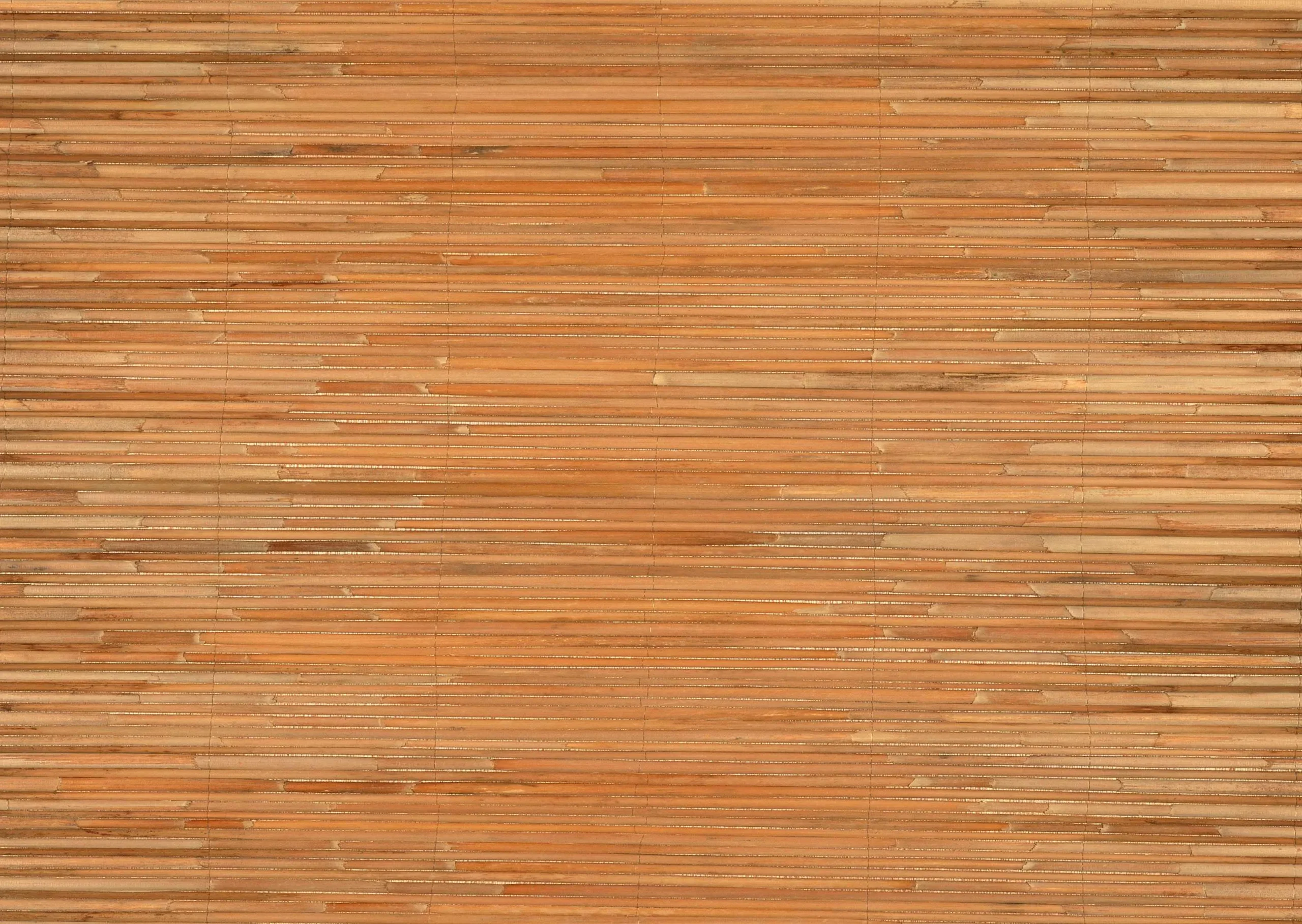 Lưu nháp tự động