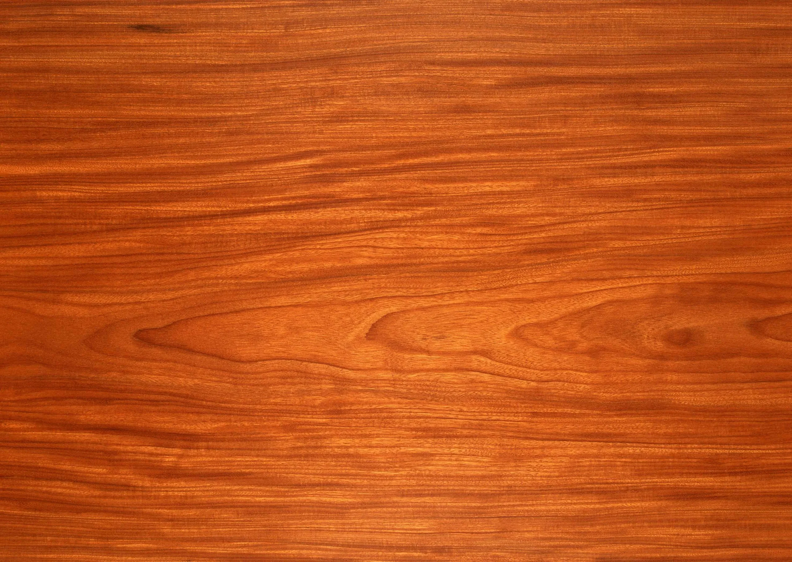 Lưu nháp tự động
