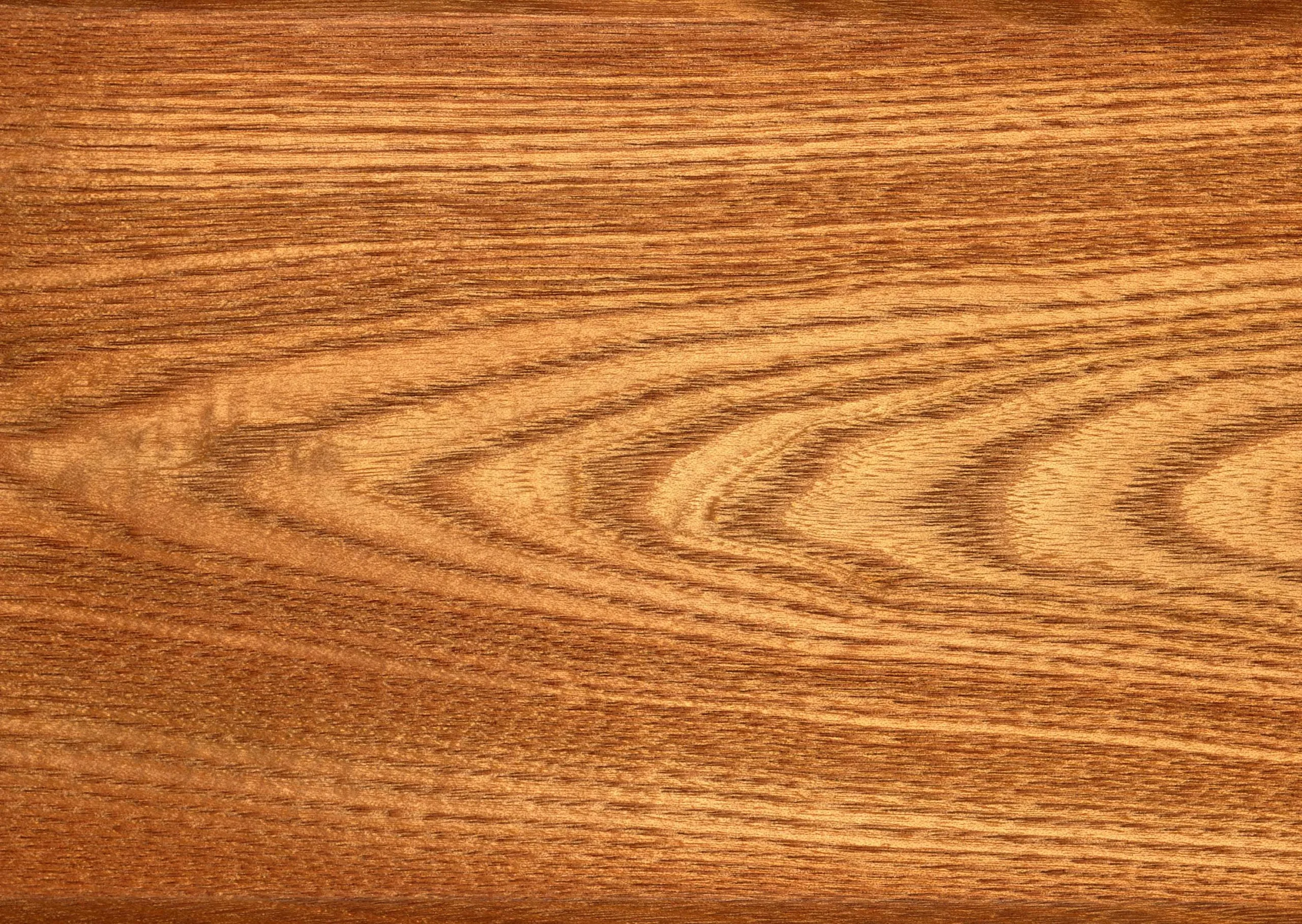 Lưu nháp tự động