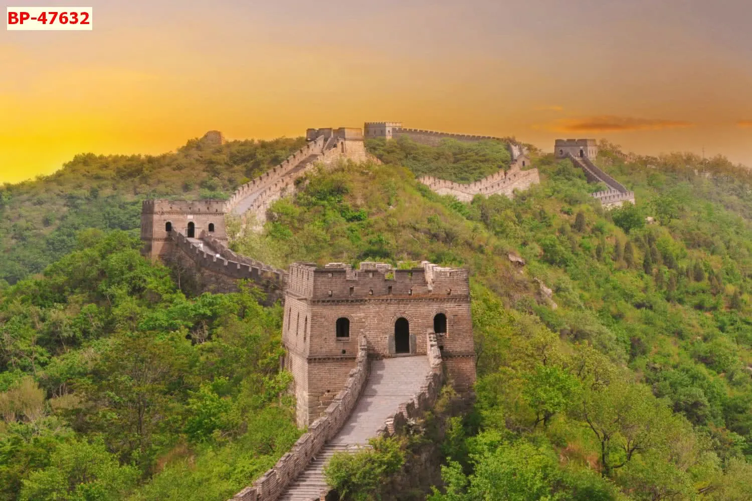 Lưu nháp tự động
